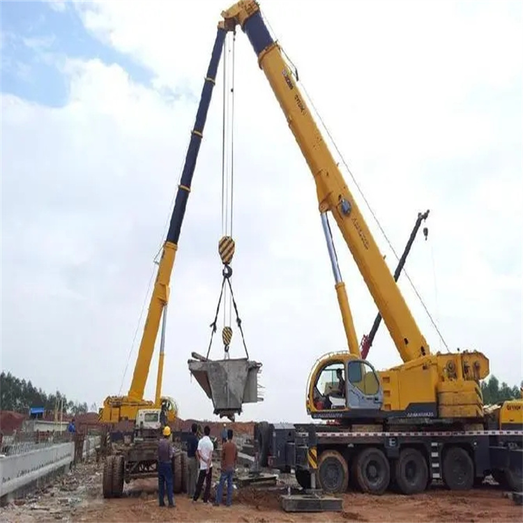 高州小型吊机出租电话|厂房设备吊装方案|24小时服务覆盖